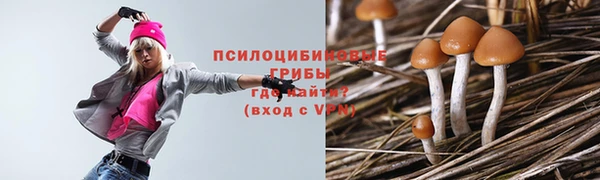 ешки Сатка