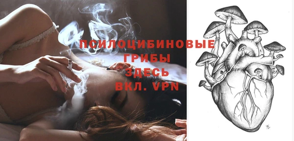 тгк Абдулино